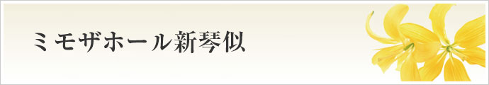 ミモザホール新琴似